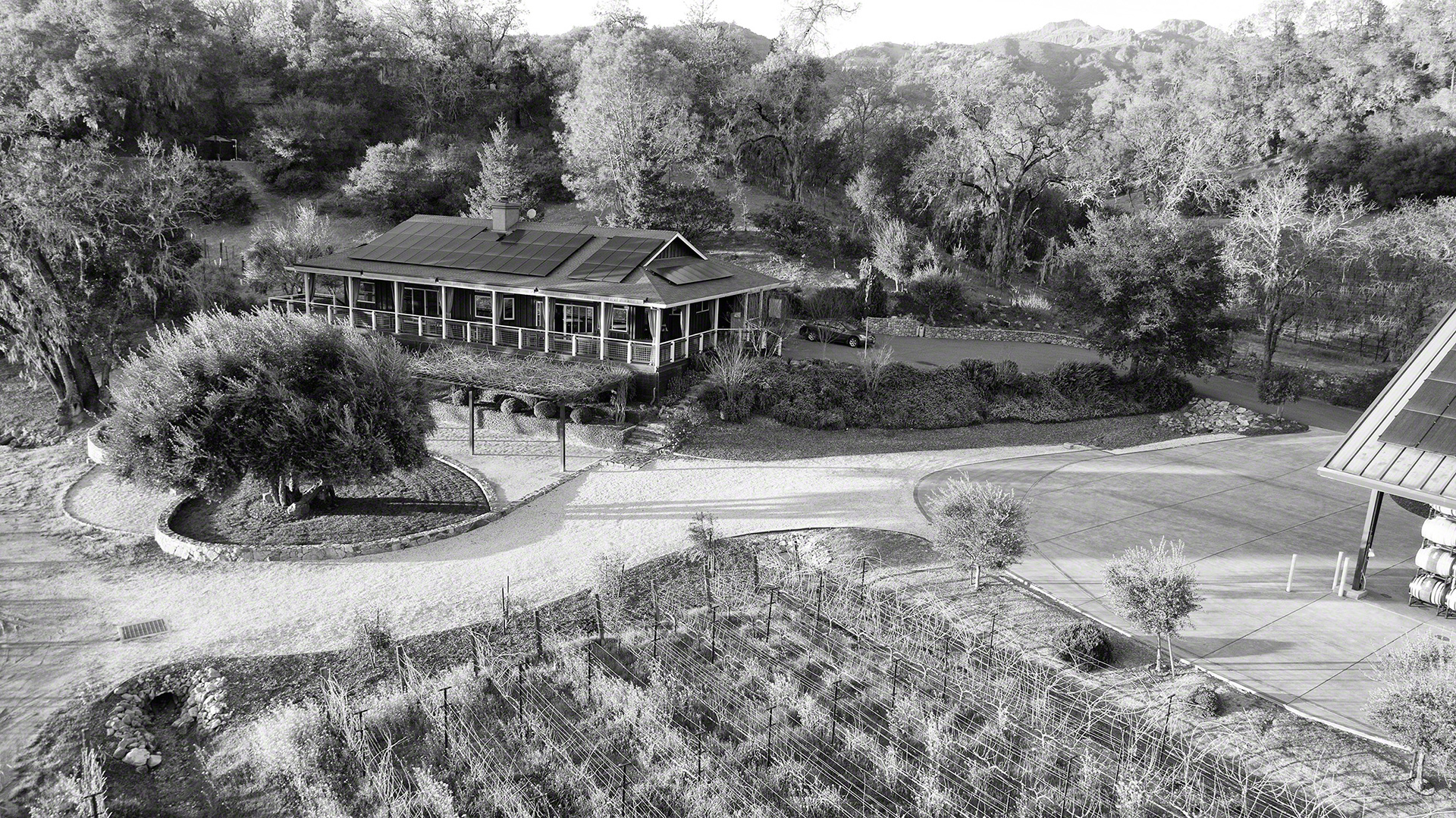 Home hero image of vineyard